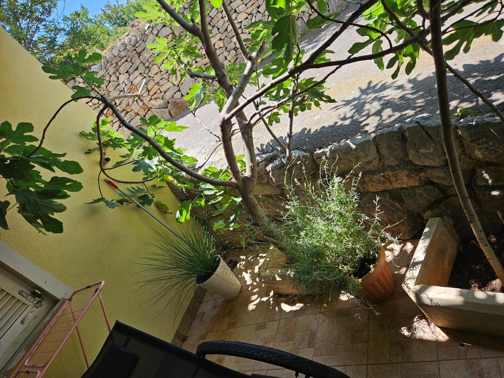 Apartmani Sanja Klenovica Exterior photo